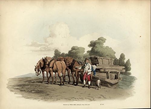 Çim Rulo Büyük Tarım Aracı İngiltere 1805 antika el renk aquatint baskı