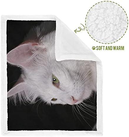 Küçük Pet Yatak Kedi Angora Yavru Beyaz Safkan Pet Büyüleyici Pet Battaniye için Araba Yumuşak Polyester Makine Yıkanabilir Pet