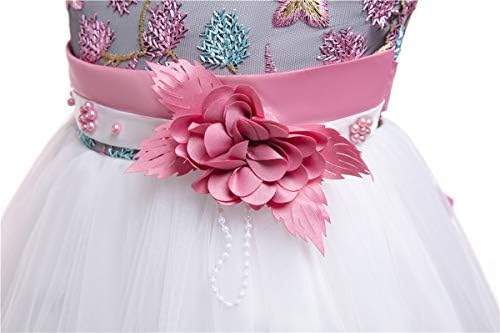 6 M-9 T Toddler Pageant Çiçek Kız Dantel Elbise Küçük Kızlar Parti Düğün Resmi Elbiseler