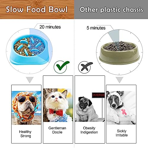 Köpek Yavaş Besleyici Kase-Eğlenceli Besleyici Solw Kase-Anti-Gulping Pet Yavaş Gıda Besleme Yemekleri-İnteraktif Bloat Stop
