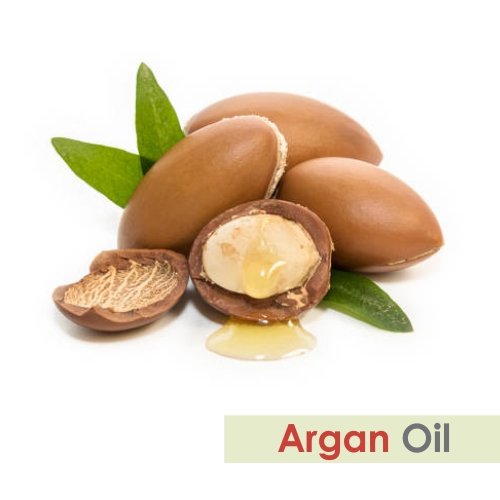 Argan (Argania spinosa) Saf Doğal Esansiyel Aromaterapi Terapötik Kesilmemiş Seyreltilmemiş Yağ (15 ml)