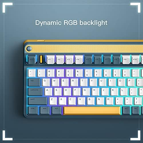 IQUNIX A80 Oyun Klavyesi, Kiraz MX Mavi Anahtarı ile 2.4 G Kablosuz Mekanik Klavye, kompakt 83 Tuşları RGB LED Aydınlatmalı Çalışırken