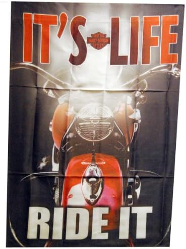 HD Harley-Davidson Bu Hayat, Emlak Bayrağına Bin