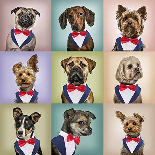 Orta Büyük Köpekler için resmi Smokin, Düğün Pet Köpek Papyon Takım Elbise, Papyon ile Beyefendi Köpek Kıyafetleri, Husky Beagle