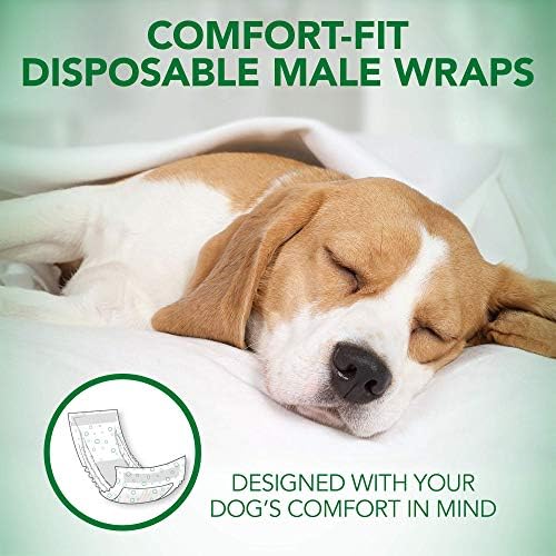 Veterinerin En İyi Comfort Fit Tek Kullanımlık Erkek Köpek Bezi | Sızdırmaz Fit ile Emici Erkek Sarar / Büyük, 30 Sayım