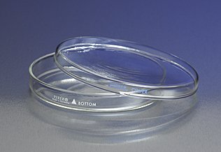 Corning - Pyrex 150x15mm Kapaklı Petri Kabı, CS24